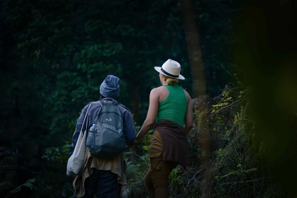 Kibale Chimpanzee Trek